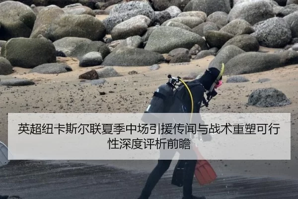 英超纽卡斯尔联夏季中场引援传闻与战术重塑可行性深度评析前瞻